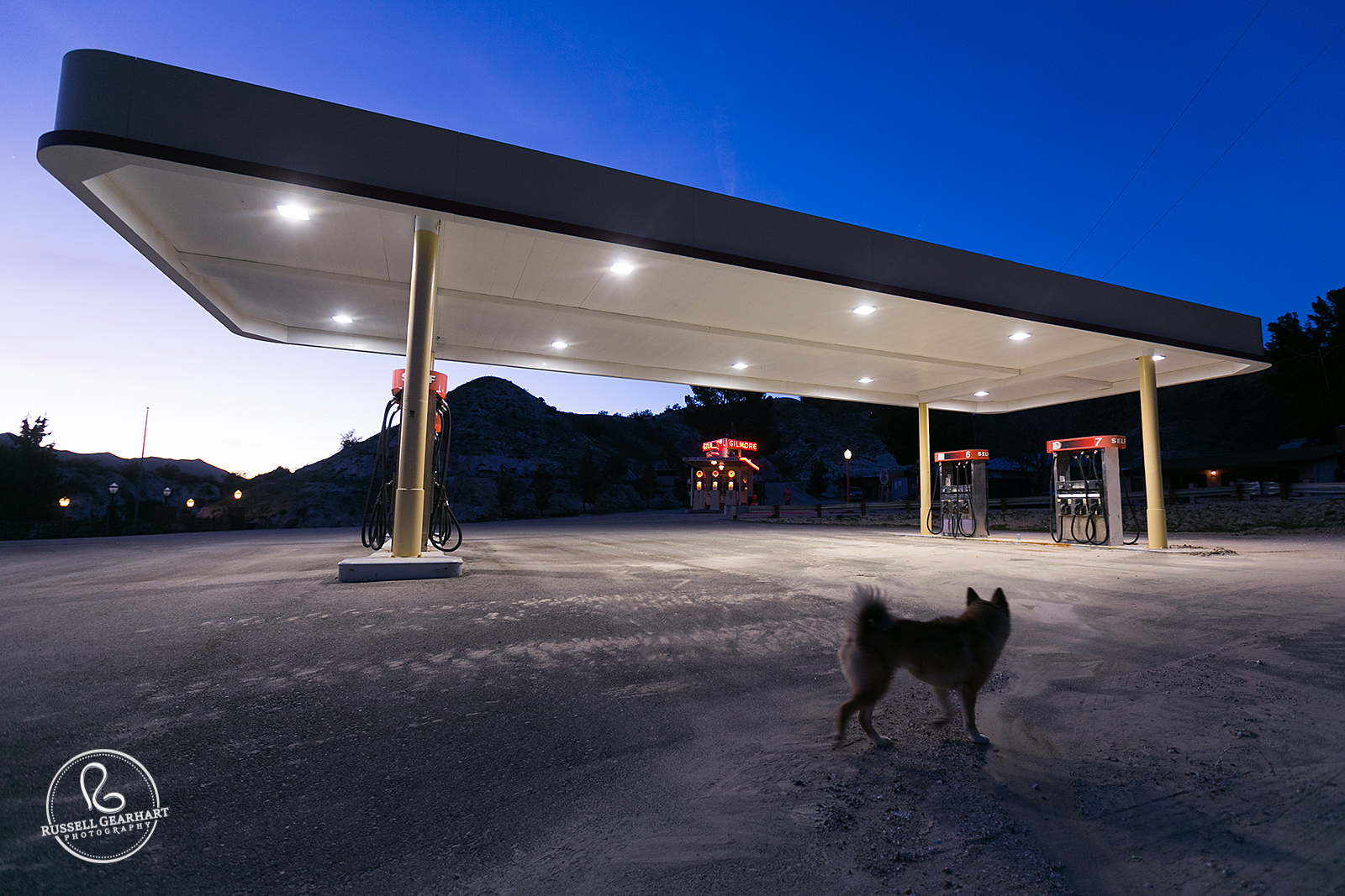 Dog Walks Past Gas Station – Acton Wedding Venue – Russell Gearhart Photography – www.gearhartphoto.com