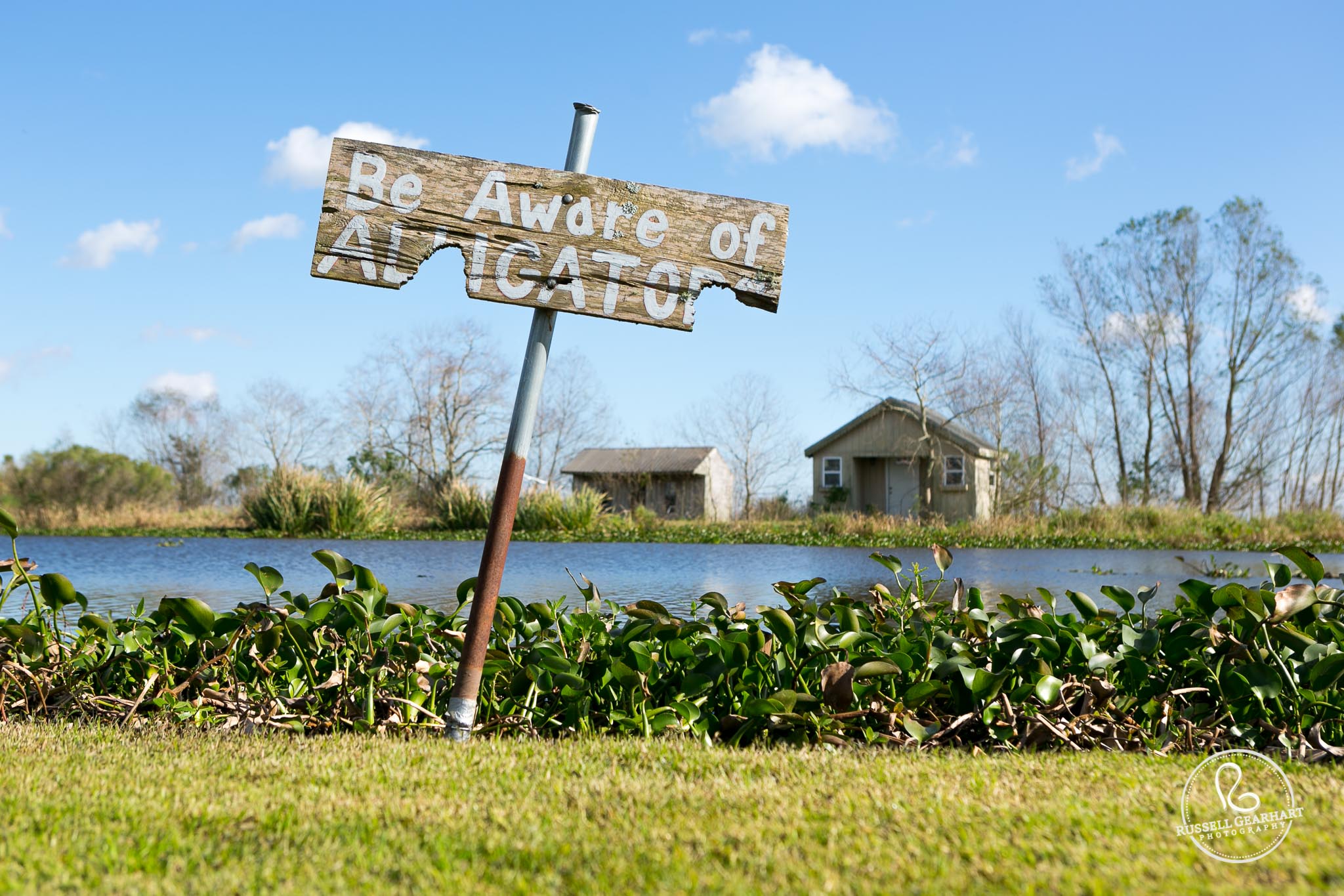 We ventured out of town to see the bayou, swamps, and plantations of the nearby towns