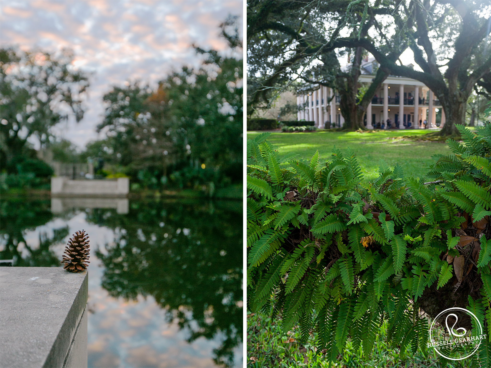 I am in love with the moss growing all over the oak trees at Oak Alley Plantation.